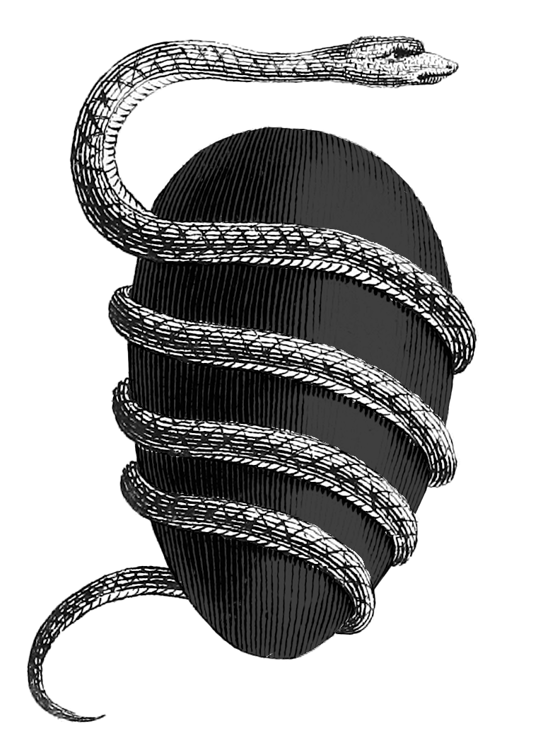 Orphic_egg_black