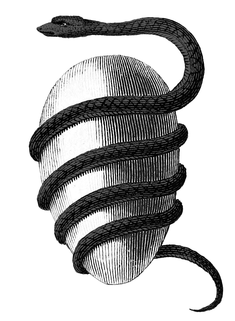 Orphic_egg_white